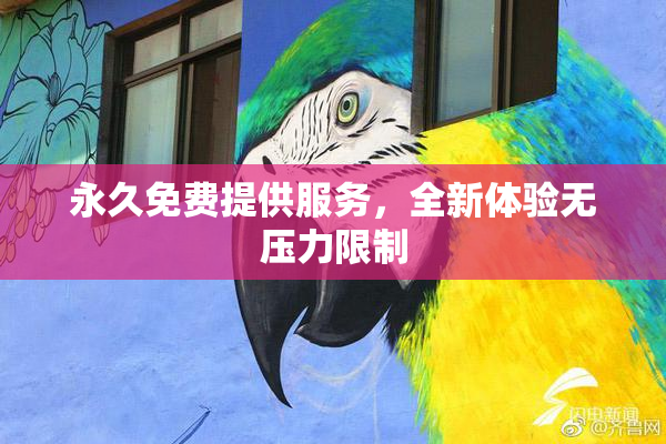 永久免费提供服务，全新体验无压力限制
