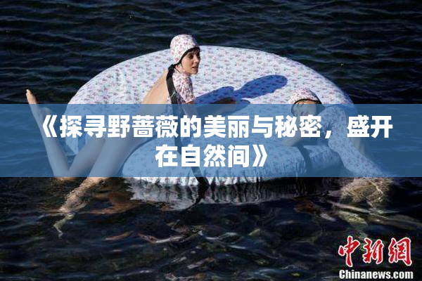 《探寻野蔷薇的美丽与秘密，盛开在自然间》