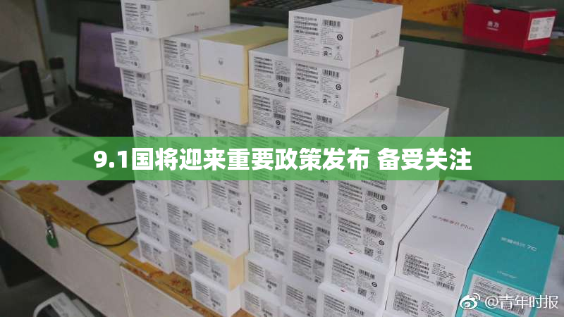 9.1国将迎来重要政策发布 备受关注