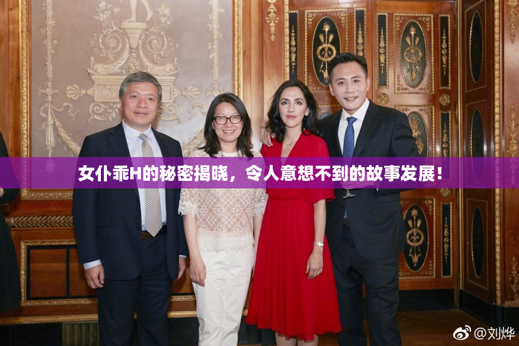 女仆乖H的秘密揭晓，令人意想不到的故事发展！