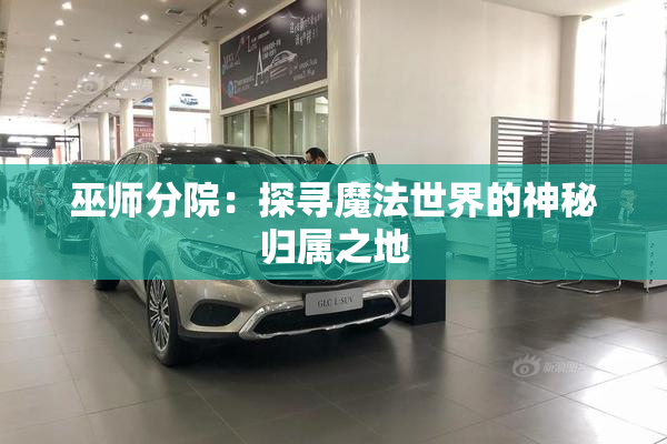 巫师分院：探寻魔法世界的神秘归属之地