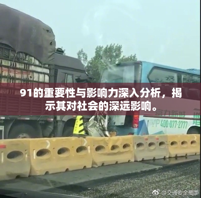 91的重要性与影响力深入分析，揭示其对社会的深远影响。