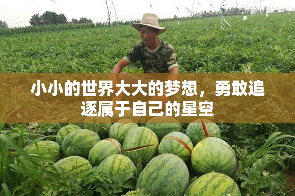 小小的世界大大的梦想，勇敢追逐属于自己的星空