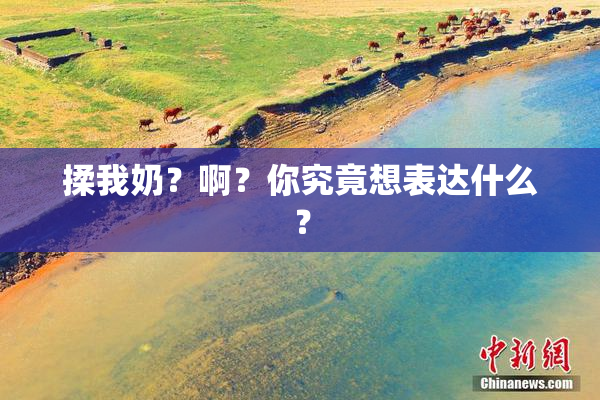 揉我奶？啊？你究竟想表达什么？