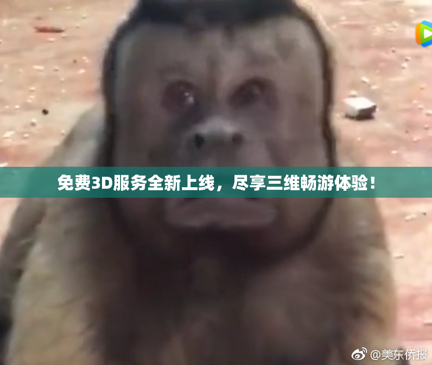 免费3D服务全新上线，尽享三维畅游体验！