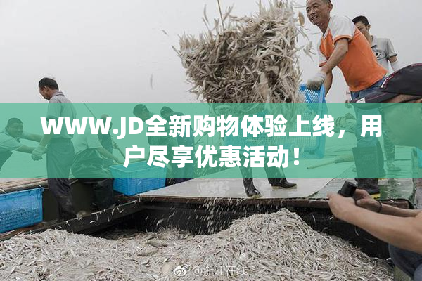 WWW.JD全新购物体验上线，用户尽享优惠活动！