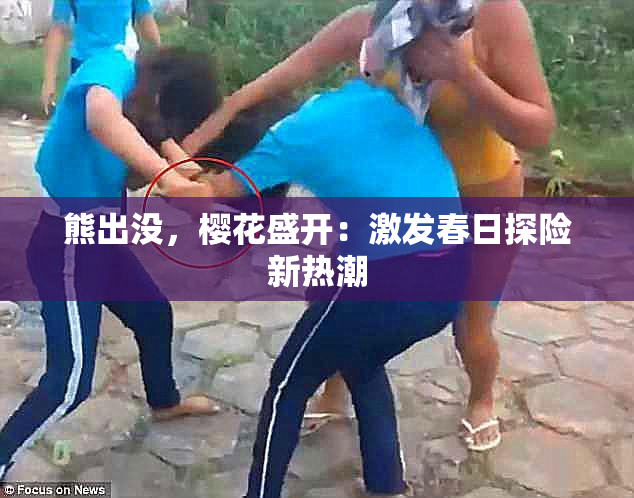 熊出没，樱花盛开：激发春日探险新热潮