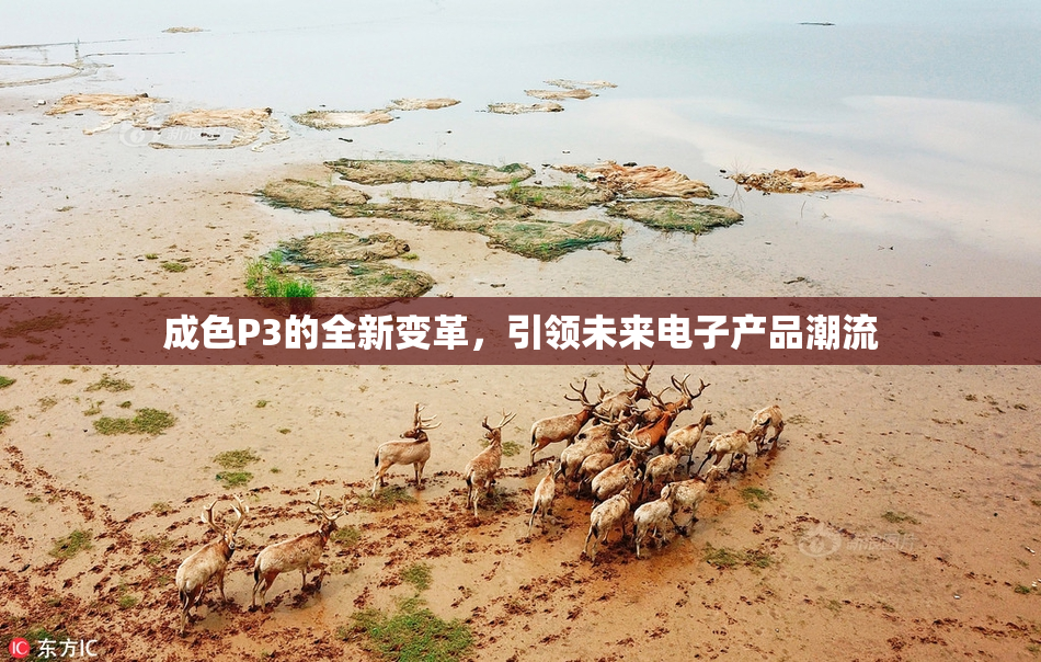 成色P3的全新变革，引领未来电子产品潮流