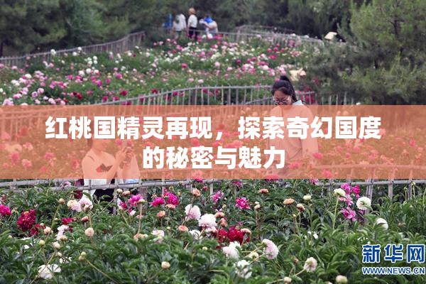 红桃国精灵再现，探索奇幻国度的秘密与魅力