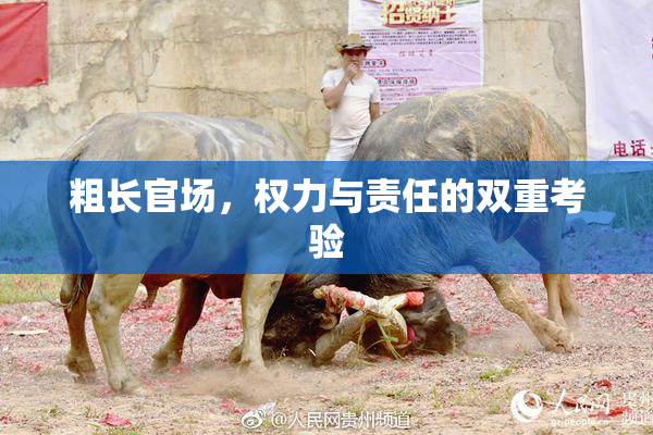 粗长官场，权力与责任的双重考验