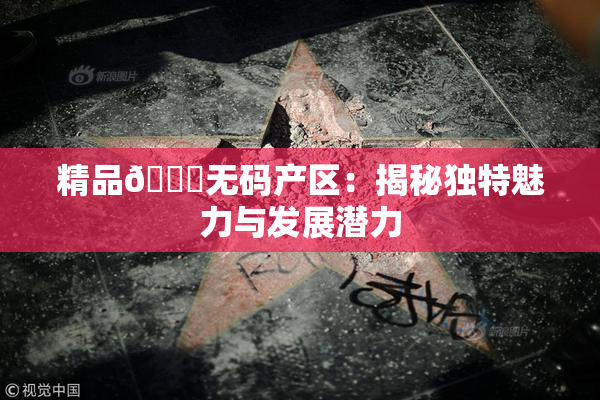 精品🌃无码产区：揭秘独特魅力与发展潜力