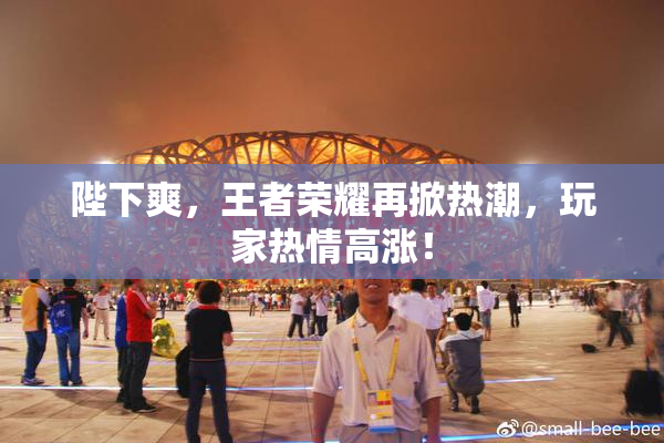 陛下爽，王者荣耀再掀热潮，玩家热情高涨！