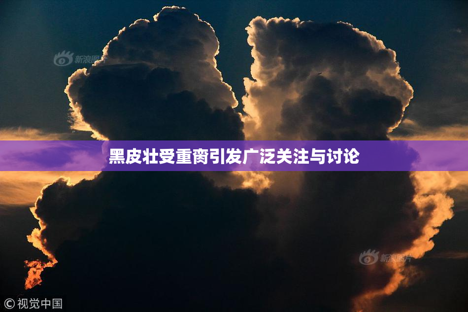 黑皮壮受重脔引发广泛关注与讨论