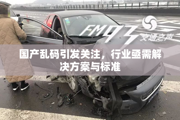 国产乱码引发关注，行业亟需解决方案与标准