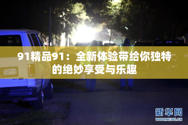 91精品91：全新体验带给你独特的绝妙享受与乐趣