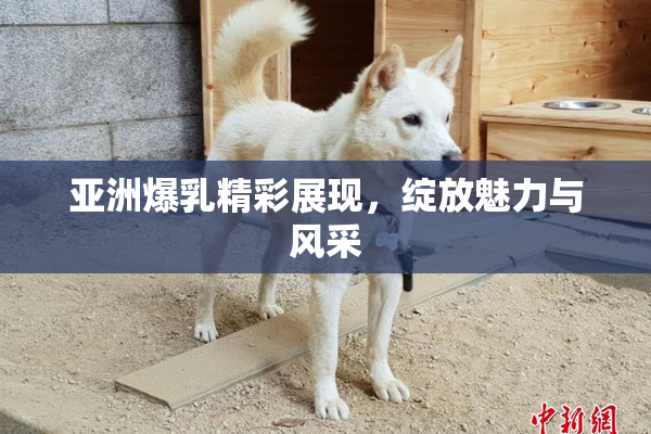 亚洲爆乳精彩展现，绽放魅力与风采
