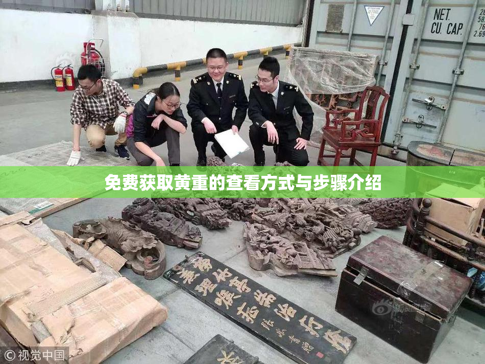免费获取黄重的查看方式与步骤介绍