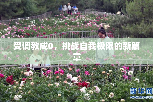 受调教成0，挑战自我极限的新篇章