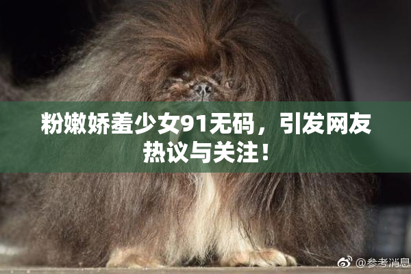 粉嫩娇羞少女91无码，引发网友热议与关注！