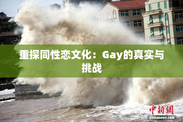 重探同性恋文化：Gay的真实与挑战