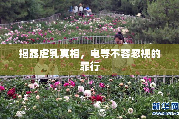 揭露虐乳真相，电等不容忽视的罪行