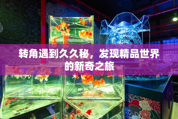 转角遇到久久秘，发现精品世界的新奇之旅