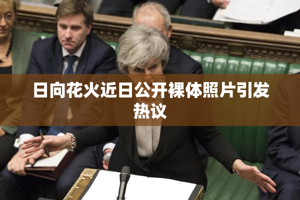 日向花火近日公开裸体照片引发热议