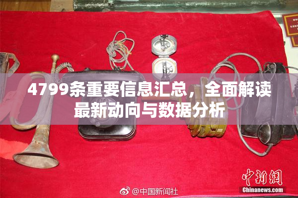 4799条重要信息汇总，全面解读最新动向与数据分析