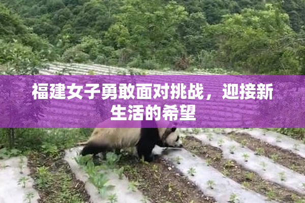 福建女子勇敢面对挑战，迎接新生活的希望