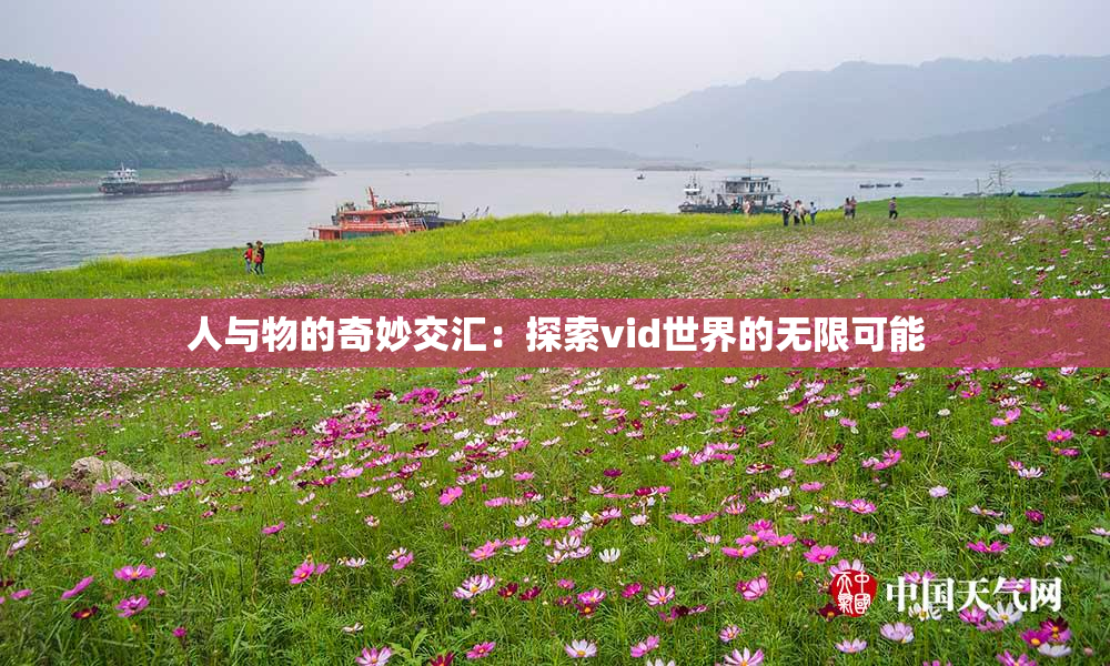 人与物的奇妙交汇：探索vid世界的无限可能