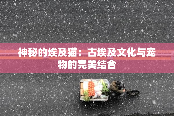 神秘的埃及猫：古埃及文化与宠物的完美结合