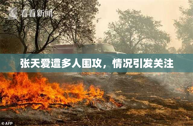 张天爱遭多人围攻，情况引发关注