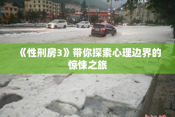 《性刑房3》带你探索心理边界的惊悚之旅