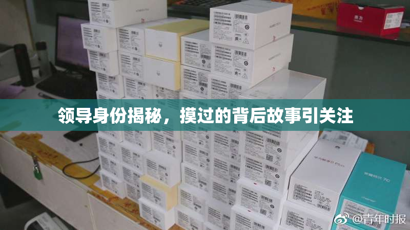 领导身份揭秘，摸过的背后故事引关注