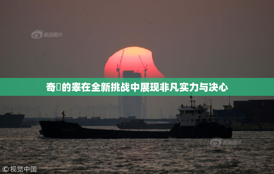 奇犽的睾在全新挑战中展现非凡实力与决心