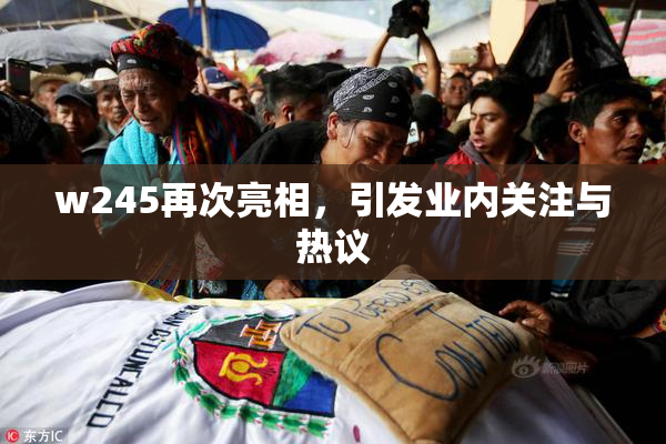 w245再次亮相，引发业内关注与热议