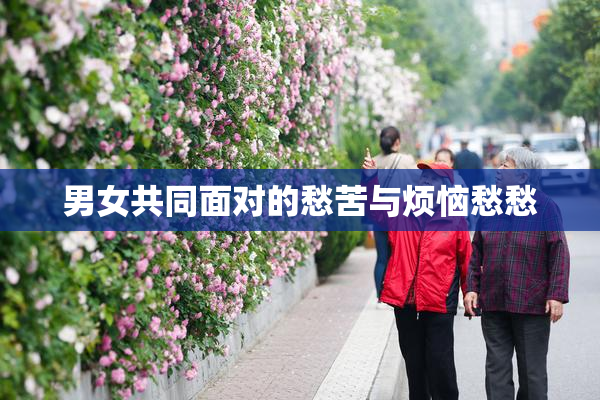 男女共同面对的愁苦与烦恼愁愁
