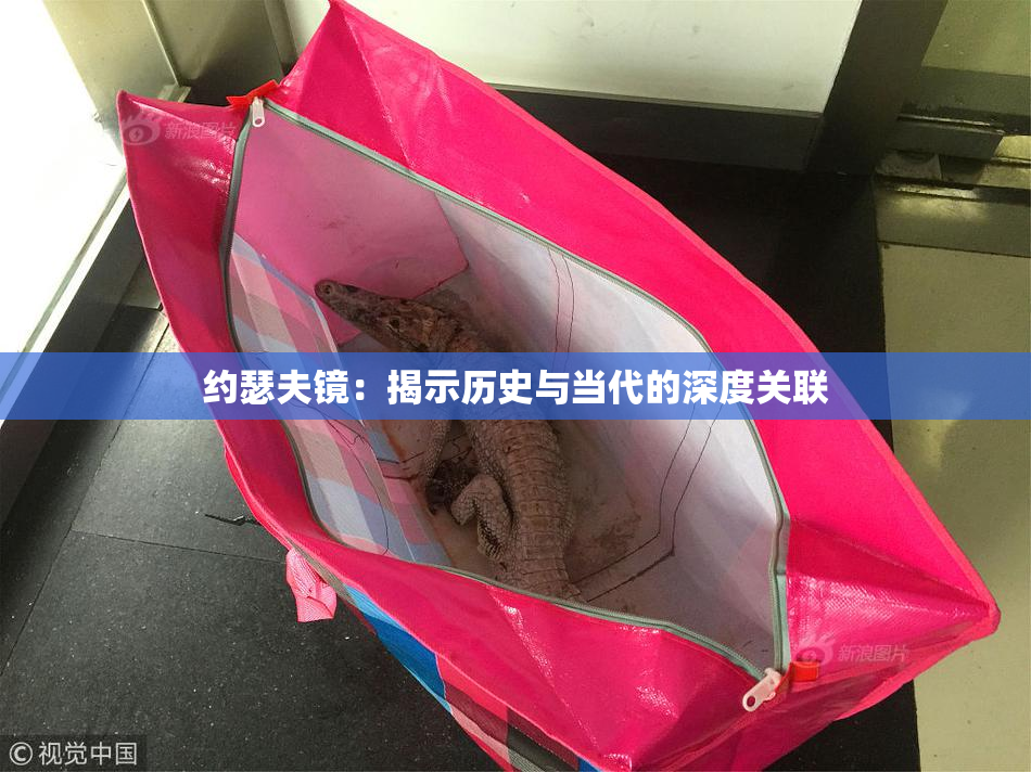 约瑟夫镜：揭示历史与当代的深度关联