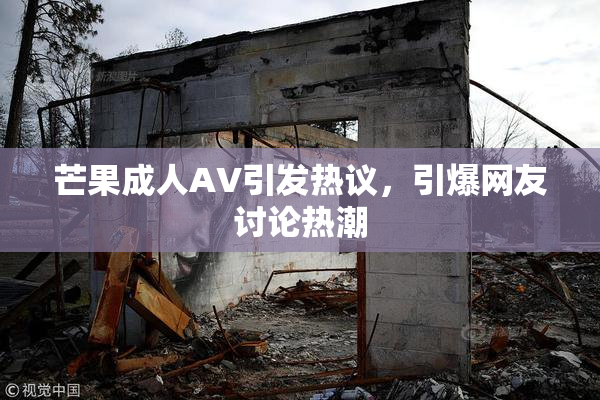 芒果成人AV引发热议，引爆网友讨论热潮
