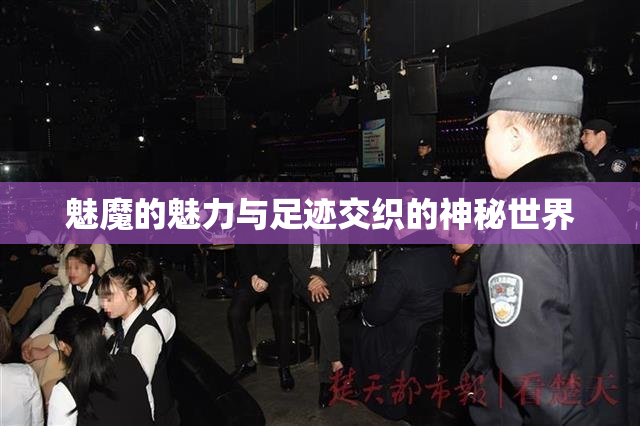 魅魔的魅力与足迹交织的神秘世界