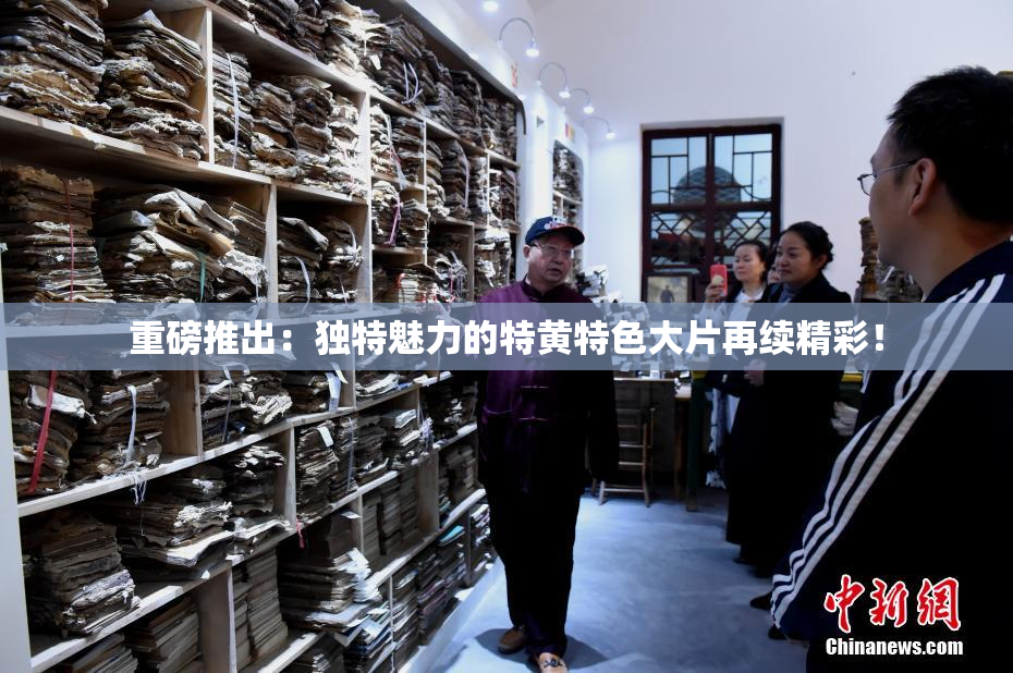 重磅推出：独特魅力的特黄特色大片再续精彩！