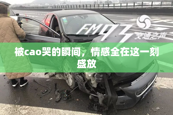 被cao哭的瞬间，情感全在这一刻盛放