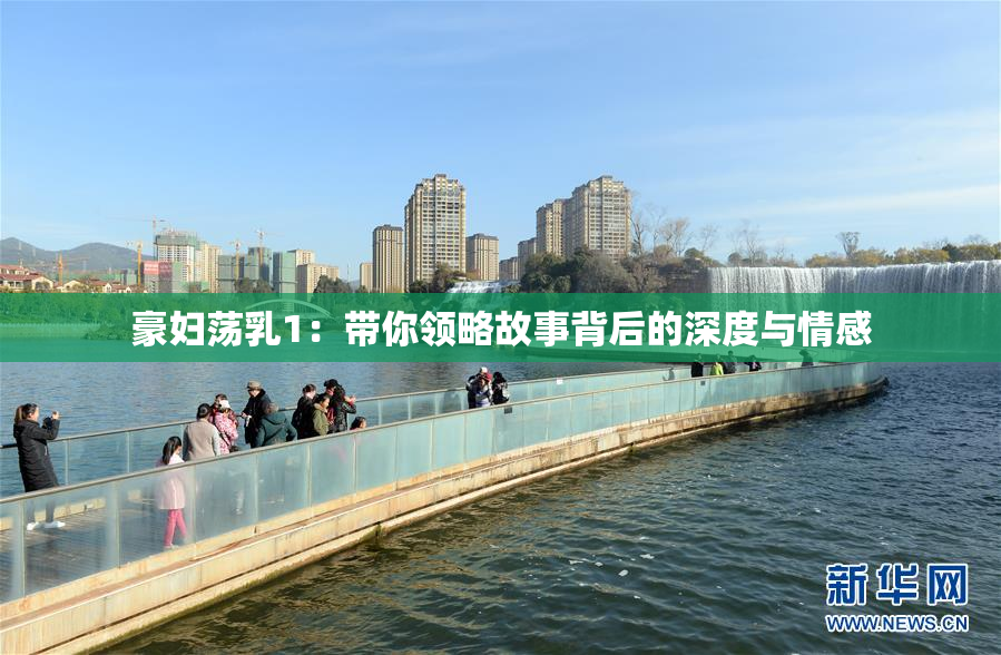 豪妇荡乳1：带你领略故事背后的深度与情感