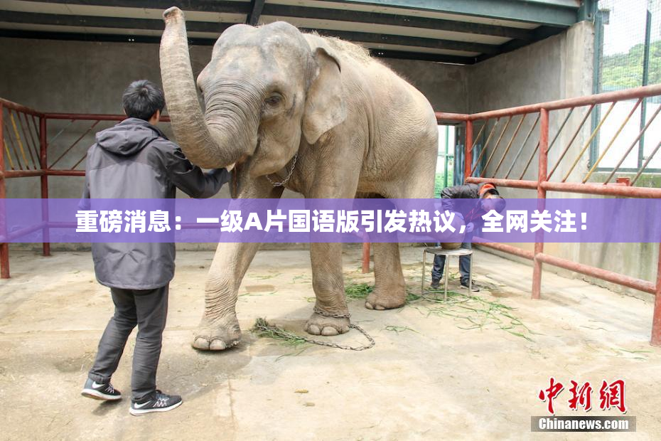 重磅消息：一级A片国语版引发热议，全网关注！