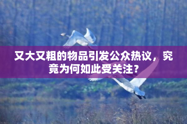 又大又粗的物品引发公众热议，究竟为何如此受关注？