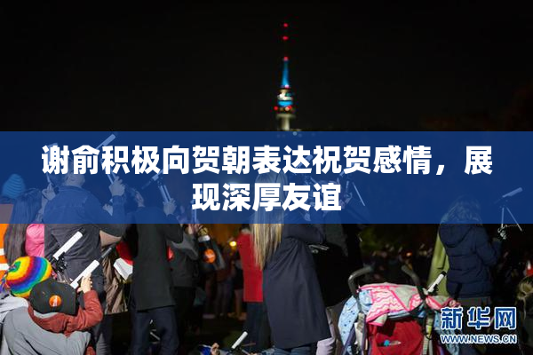 谢俞积极向贺朝表达祝贺感情，展现深厚友谊