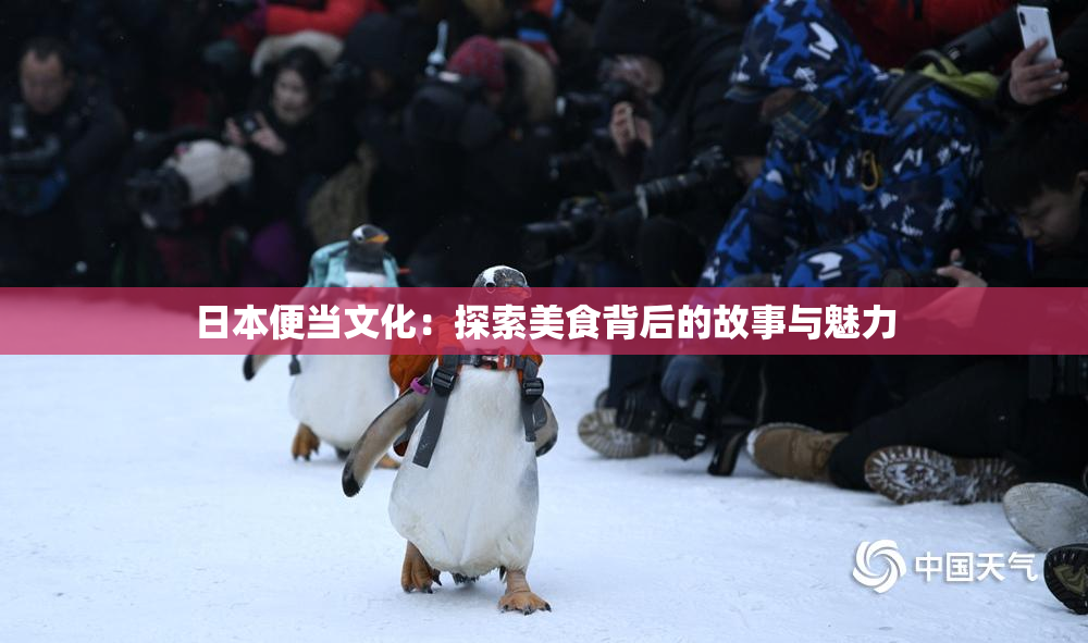 日本便当文化：探索美食背后的故事与魅力