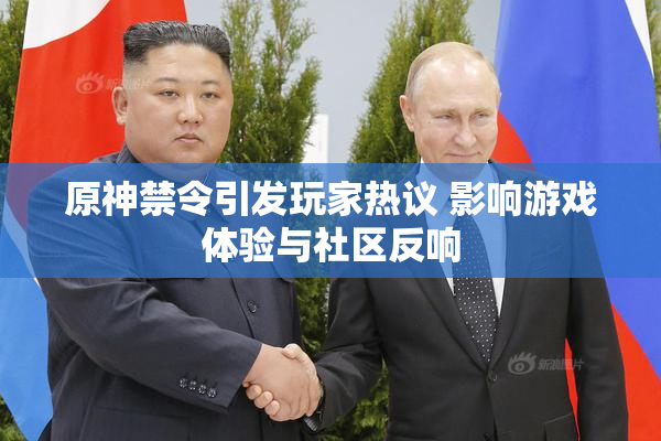 原神禁令引发玩家热议 影响游戏体验与社区反响