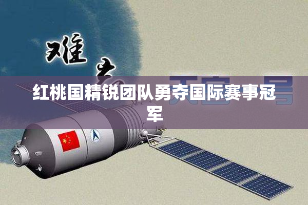 红桃国精锐团队勇夺国际赛事冠军
