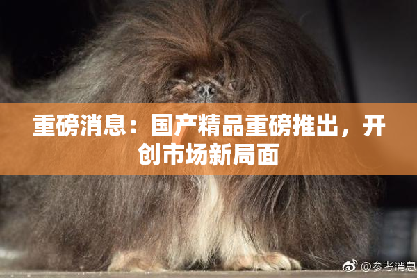 重磅消息：国产精品重磅推出，开创市场新局面
